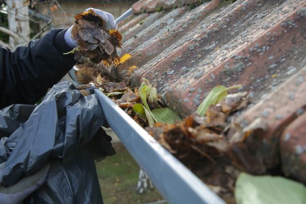 Commercial Gutter Unclogging in Parker