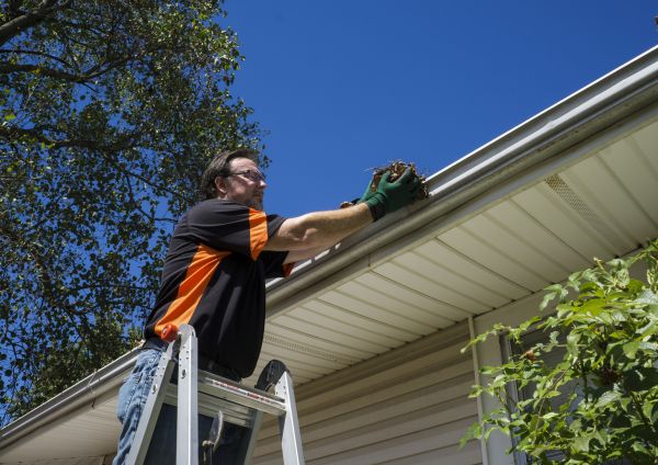Cost of Eavestrough Clearing in Parker