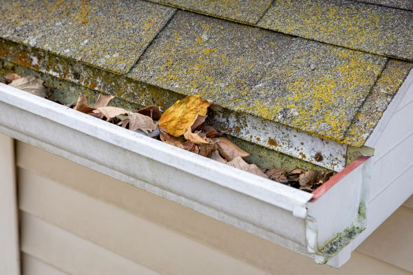 Cost of Garage Gutter Cleaning in Parker