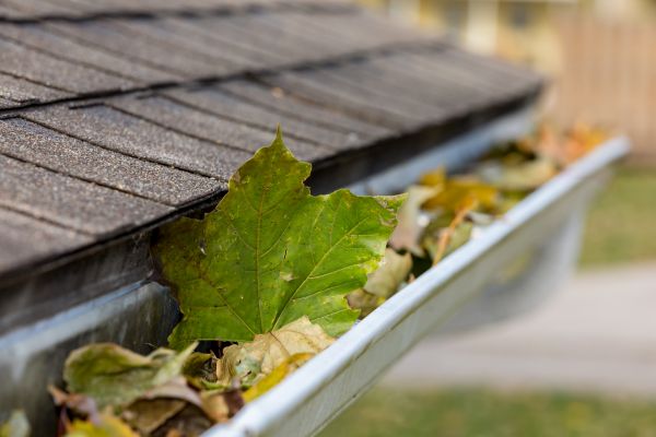 Cost of Gutter Leaves Removal in Parker