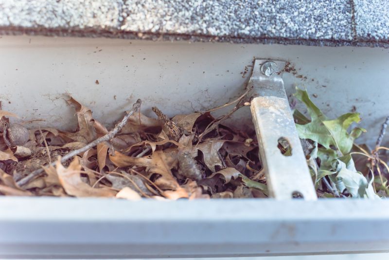 Clogged Gutter Clearing