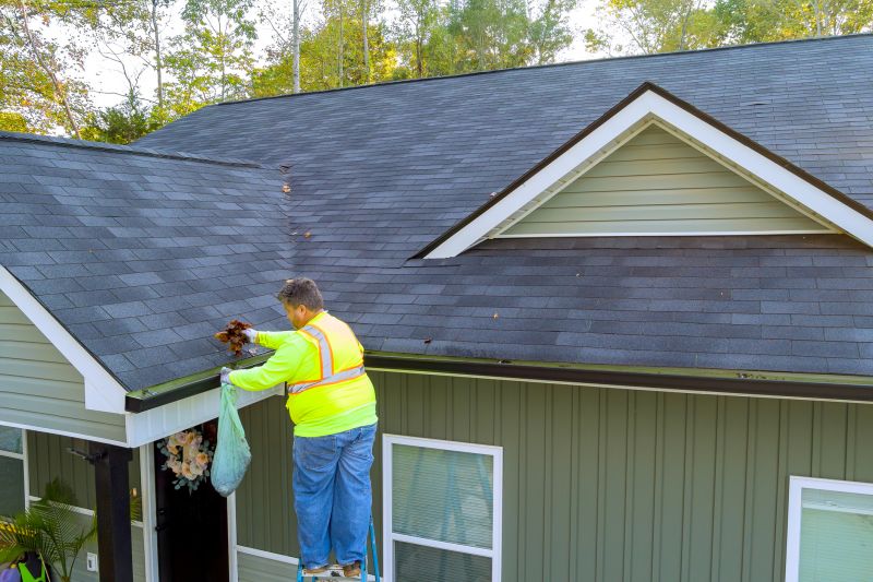 Importance of Regular Gutter Care
