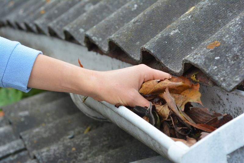 Proper Gutter Maintenance